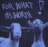 imnotvrycreative - FOR WHAT ITS WORTH (Deluxe)