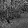 Døves Cry Springs Eternal - D&oslash;ves Cry Springs Eternal