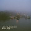 Light Blending In - Moontide