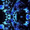 Drainpuppet & DJ FLP - Modular Memory