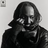 Thundercat - I Did This To Myself