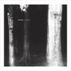 Brambles - Charcoal
