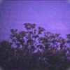 Narcolepsy - Nocturne