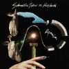 Sébastien Tellier - Amnesia