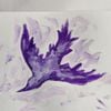Dead Butterflies - thorns