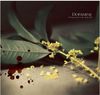 Dopamine - Dying Away In The Deep Fall (死于深秋)