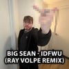Ray Volpe - IDFWU (RAY VOLPE REMIX)