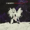 Capsize - Under a Hollow Sky