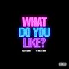 Bizzy Crook - What Do You Like