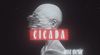 CR - CICADA