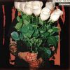 Horse Head - We Had Our Fun