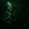 postdrome - From Heaven, from Nowhere