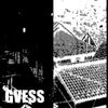 GVESS - BI ZAR RE