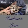 David Teie - Padma's Love