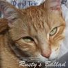 David Teie - Rusty's Ballad