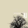 IU - Lost and Found