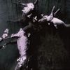 Kicked In The Head By A Horse - BLOOM/DECAY