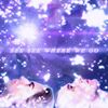 samxemma - SEE SEE WHERE WE GO