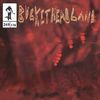 Buckethead - The Moss Lands