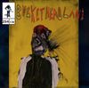 Buckethead - Woven Twigs