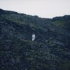 Natalie Wildgoose - Nobody On The Path