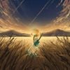 noavia! - Conversation
