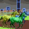 HomemadeCC - horses race in chicago