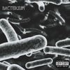 peacock - BACTERIUM