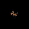 envyhoes - ANNO DEL CAVALLO