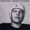 Guided by Voices - Crawlspace Of The Pantheon