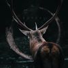 As Seas Exhale - Boreal