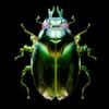 GRRL - Beetle