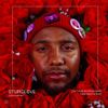 Chromonicci - STUPIDLOVE