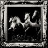 sethhh - 4horses