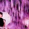 18 DAYS - Carousel In Your Mind