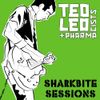 Ted Leo and the Pharmacists - Sharkbite Sessions