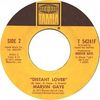 Marvin Gaye - Distant Lover