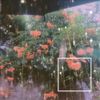 Lovesong - 321