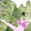 Roxy Radclyffe - Grass Castle Not Sand Castle But Grass Castle