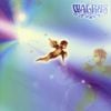 WALRUS - 光のカケラ [Hikari no kakera]