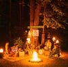 moondoggy - Around The Fire