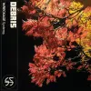 65daysofstatic - Debris