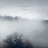 Poppy Ackroyd - Liminal