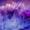 Royal Jelly - Queen