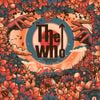The Who - Live at Eden Project 2023