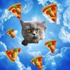 Happiness Of Groovy Catto