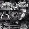 Visions Of Disfigurement - Involuntary Cranial Excision