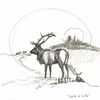 Elk Hunter - The Circle of Life
