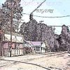 MY SOUTHERN ROOTS V - MY SOUTHERN ROOTS V
