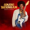 Amani Burnham - The Last Thing I Remember
